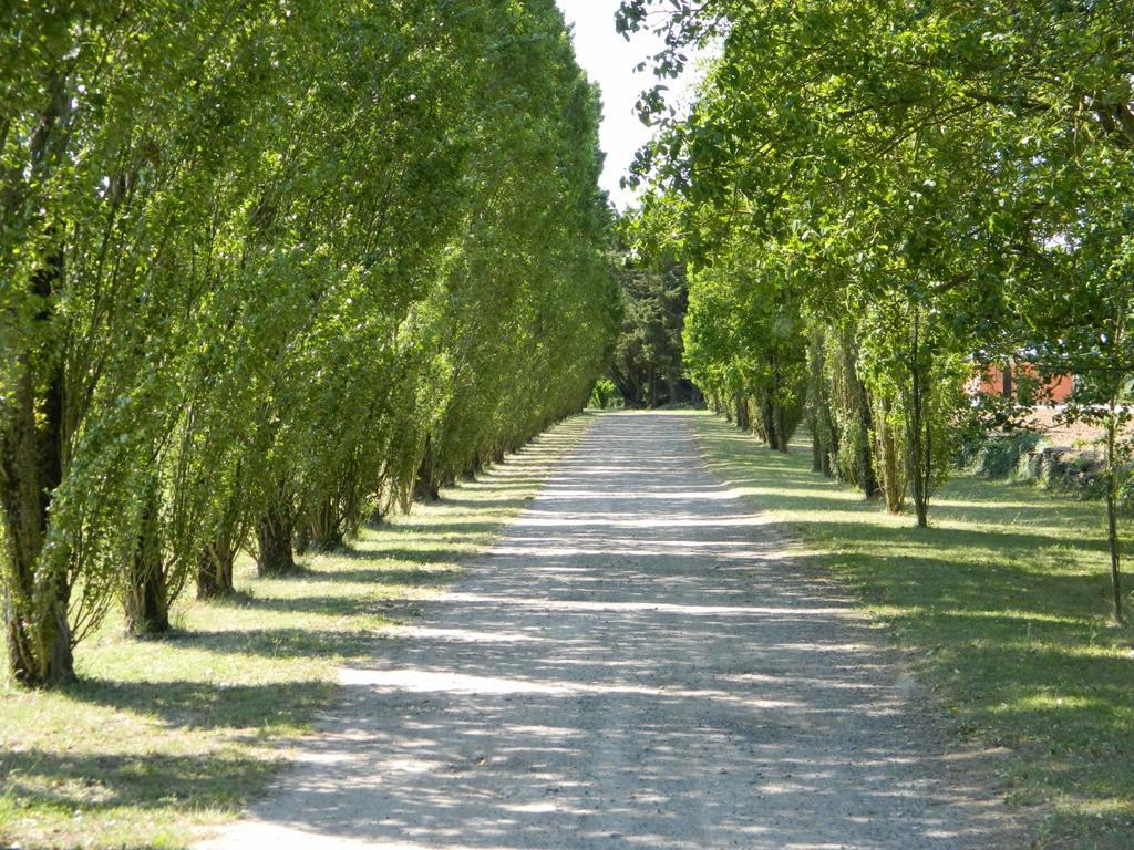 Gite De Cray Lussault-sur-Loire ภายนอก รูปภาพ